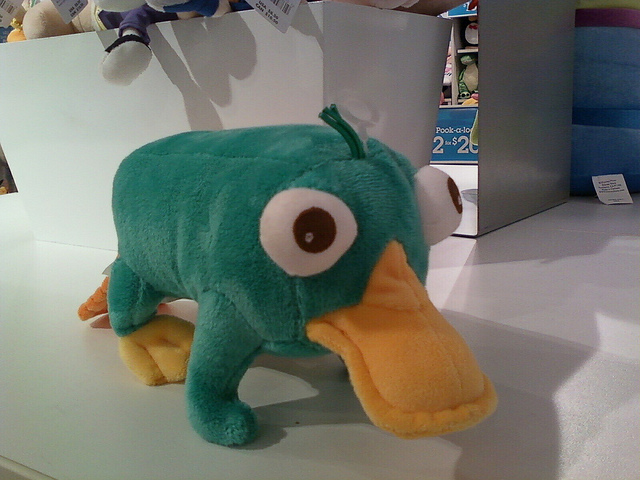 And with a Perry the Platypus